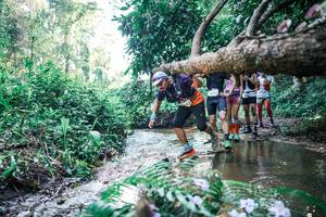 BIB: 
                            <button type="button" onclick="openModal(25446141)" class="btn btn-primary btn-sm float-right btn-popup" data-toggle="modal" data-target=".modal-high-quality">
                        <i class="fas fa-shopping-cart"></i> Add to Cart
                    </button>
                                            <button type="button" onclick="isThisMe(25446141, true)" class="btn btn-success btn-sm float-right btn-popup btn-isme hidden" data-toggle="tooltip" data-placement="bottom" title="นี่คือรูปของคุณใช่ไหม คลิกที่นี่เพื่อเอาเข้าอัลบั้ม">
                        <i class="fas fa-plus"></i> Add to album
                    </button>
                    <button type="button" onclick="isThisMe(25446141, false)" class="btn btn-warning btn-sm float-right btn-popup btn-isnotme hidden">
                        <i class="fas fa-ban"></i> Remove from album
                    </button>